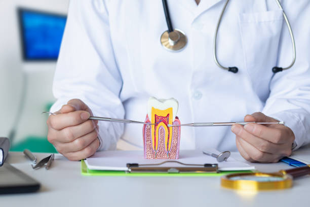 Best Emergency Treatment for Oral Infections in South Wilton, CT